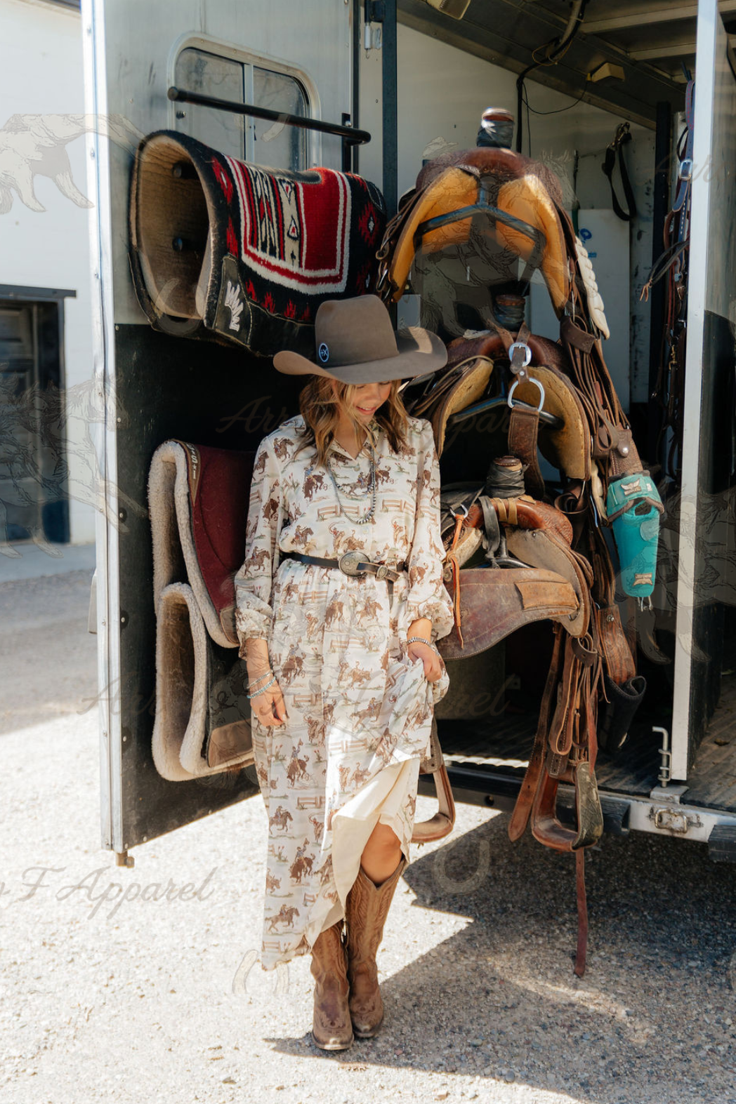 Ole West Cowboys Dress (1 Pack)